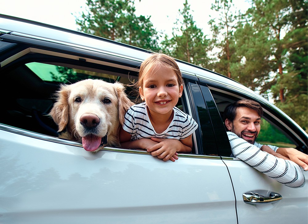 A smiling father and daughter leaning out car windows with their dog.