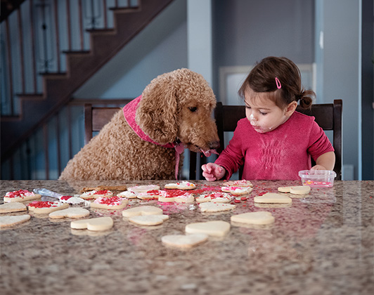 Girl and dog making valentines day cookies